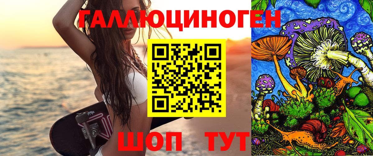 Псилоцибиновые грибы Psilocybe  Вход с VPN  Уварово 